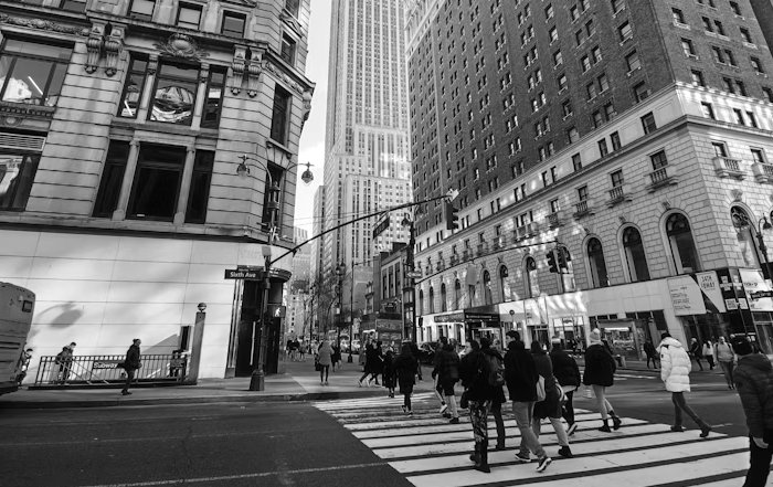 Article Image for Building Trust in Digital-Only Financial Brands