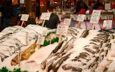 Article Image for Fintech for Sustainable Fisheries and Oceans