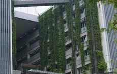 Article Image for Neobank Profitability and Paths to Sustainability