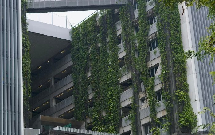 Article Image for Neobank Profitability and Paths to Sustainability