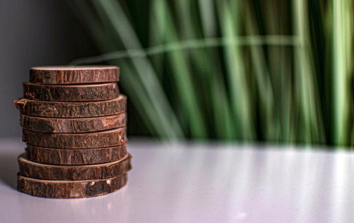 Article Image for Sustainable Finance Attracts Long Term Global Capital